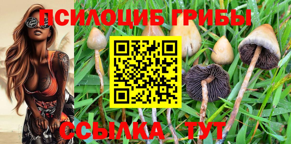 Псилоцибиновые грибы ЛСД Тайшет