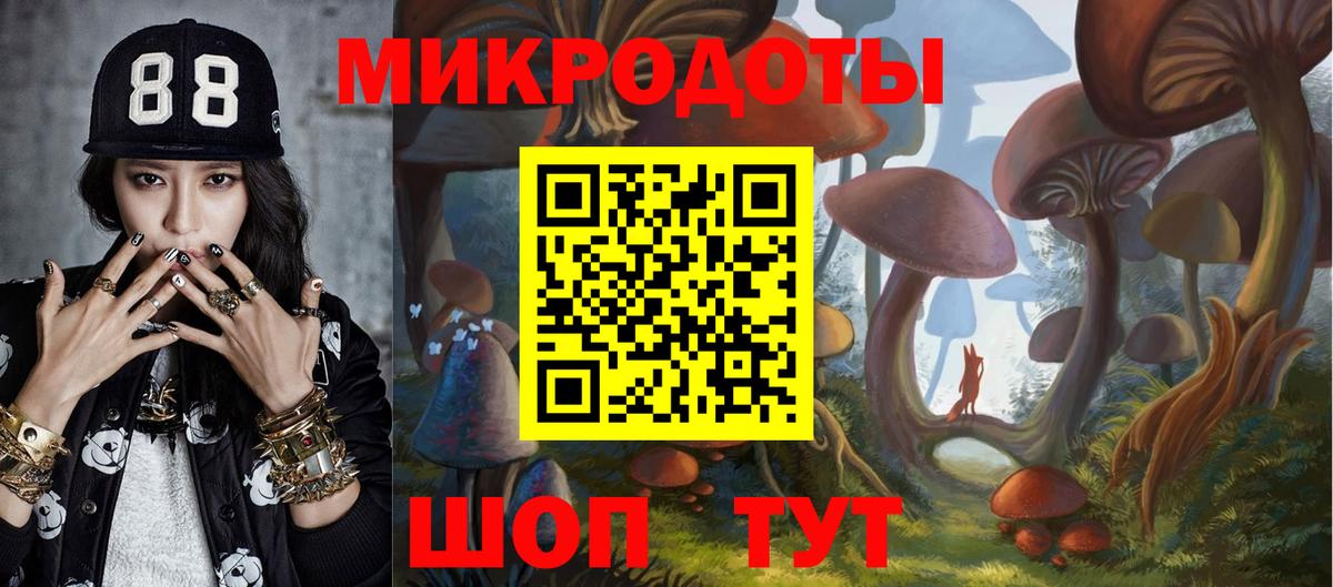 Тайшет  Галлюциногенные грибы Cubensis  Вход с VPN 